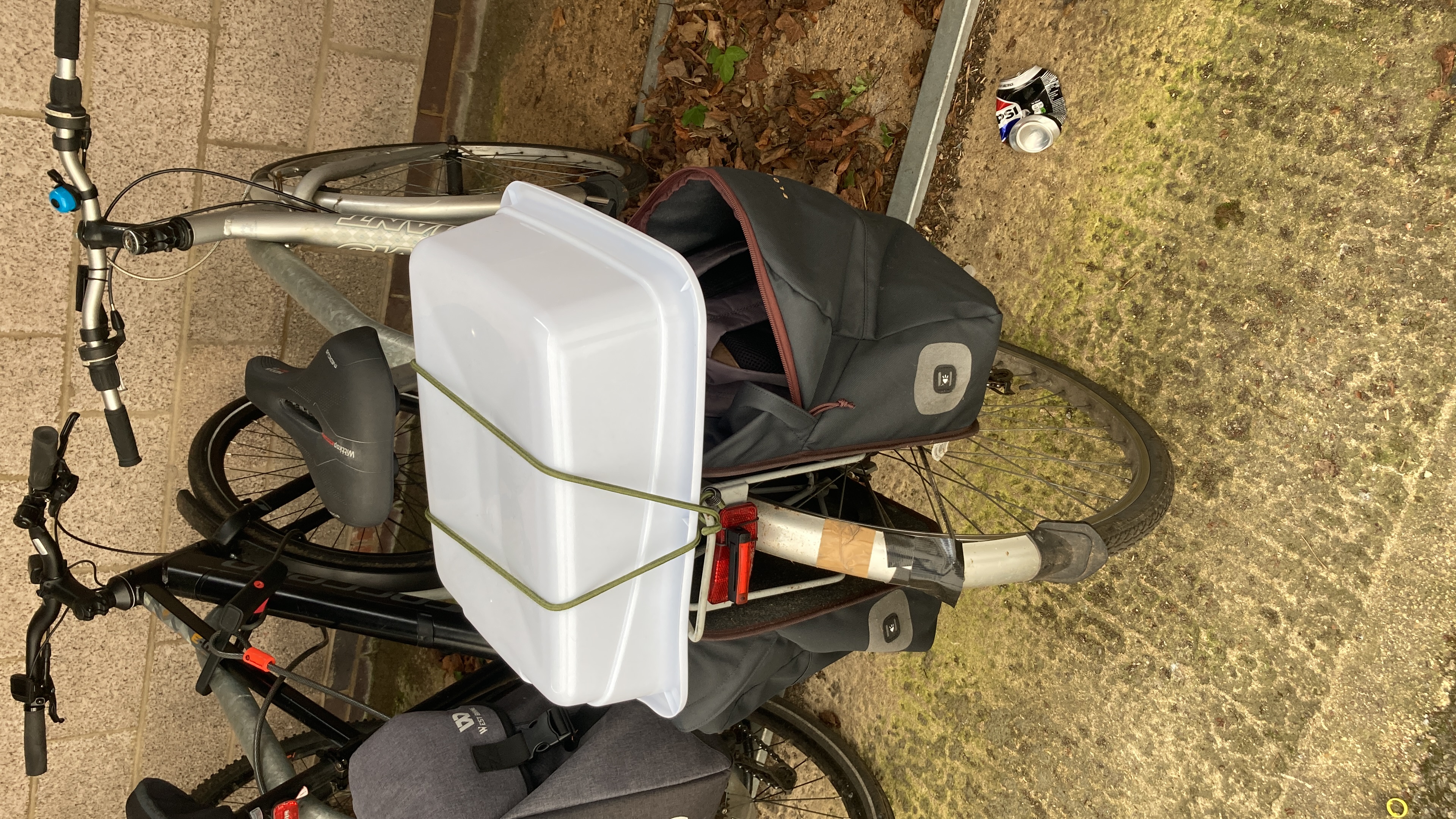 The Pack Horse, my Giant Expression